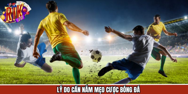 Ưu điểm lớn hội viên nên tham khảo chiến thuật cá độ